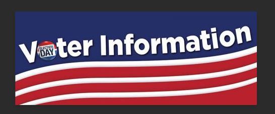 vote