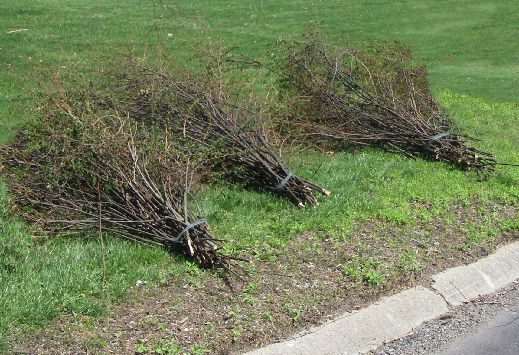 orderly brush piles_3