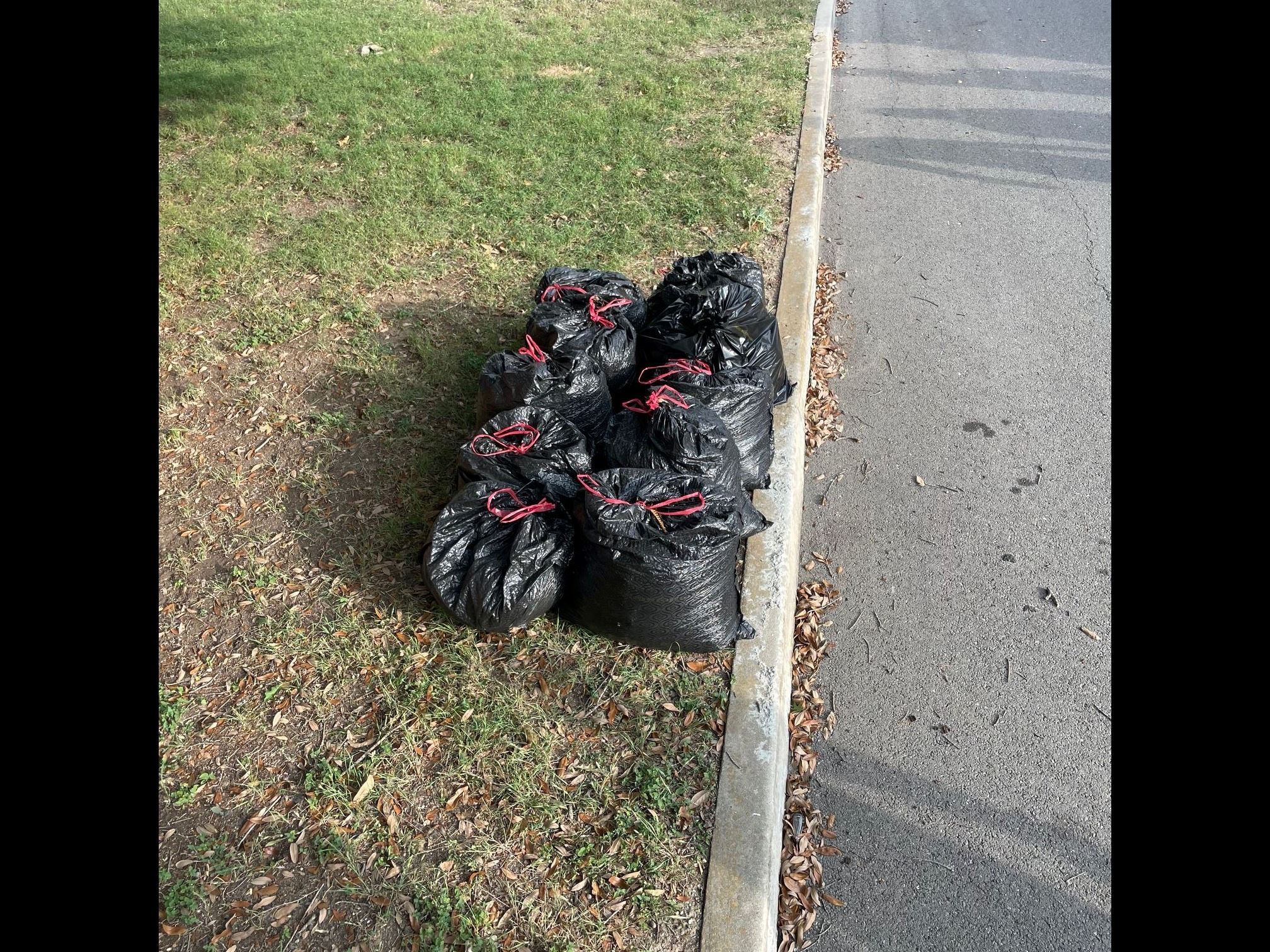 Leaf Bag