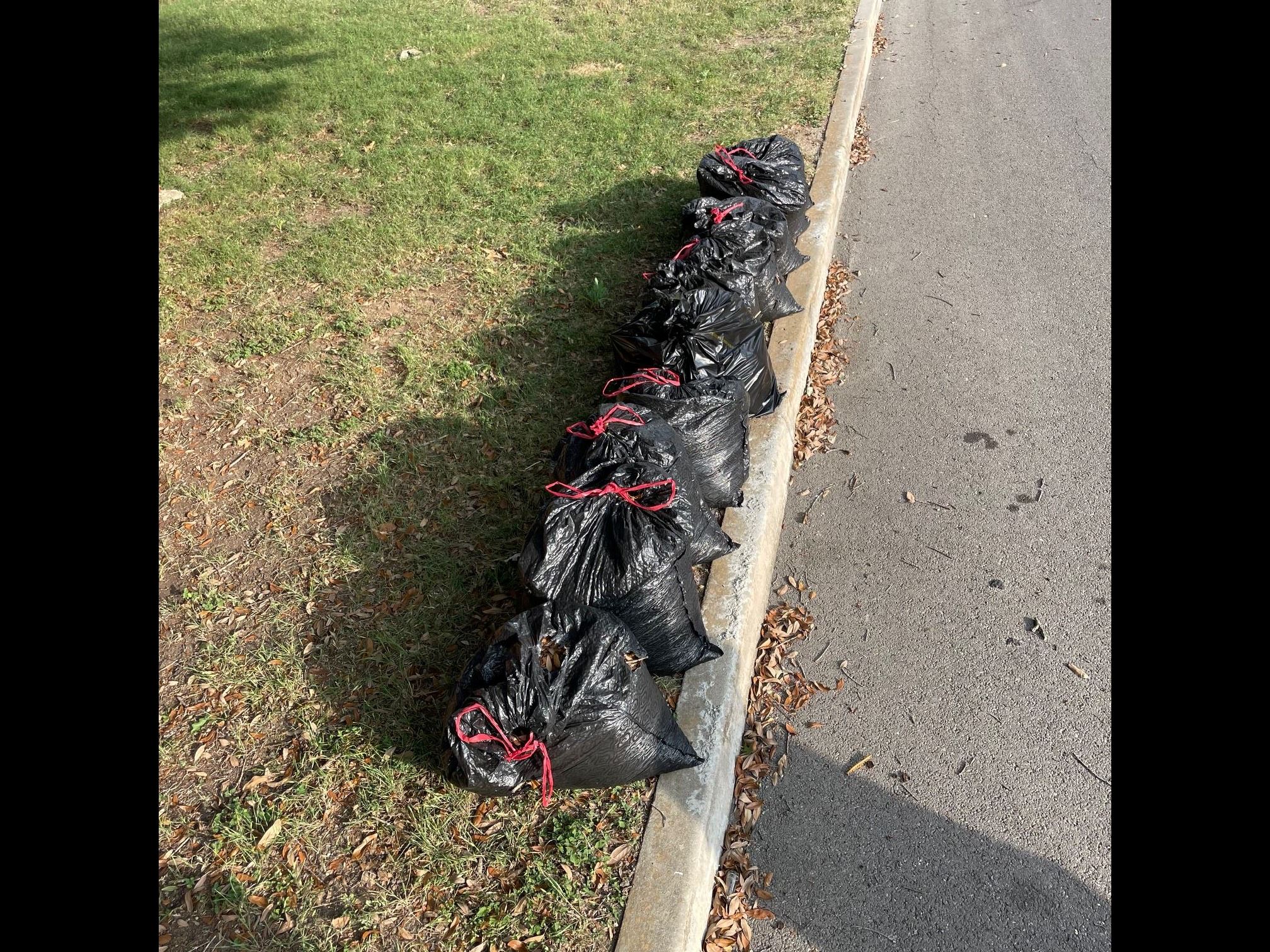 Leaf Bags